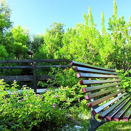 Geovillage * Ольбия