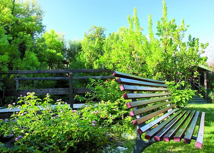 Geovillage * 奧爾比亞